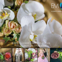 cream.graphics adverts posters