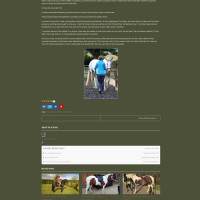 Click here to visit website