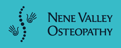 cream.graphics business cards flyers postcards comp slips