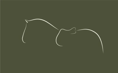 cream.graphics illustration