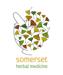 cream.graphics logo design branding