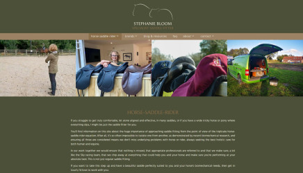 click here to visit website