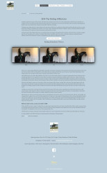 click here to visit website