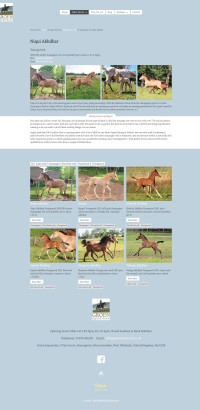 click here to visit website