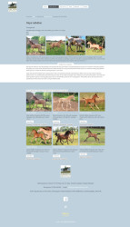 click here to visit website