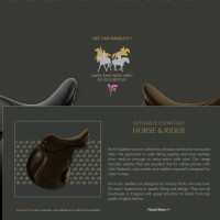click here to visit website