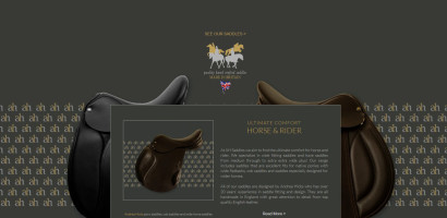 click here to visit website