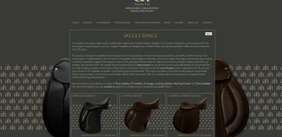 click here to visit website